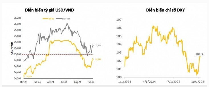 Chứng khoán Maybank: Áp lực tỷ giá sẽ không kéo dài