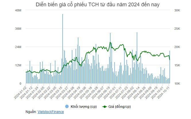 Bị Thanh tra Chính phủ gọi tên, cổ phiếu họ “Hoàng Huy” nằm sàn