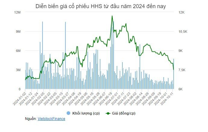 Bị Thanh tra Chính phủ gọi tên, cổ phiếu họ “Hoàng Huy” nằm sàn