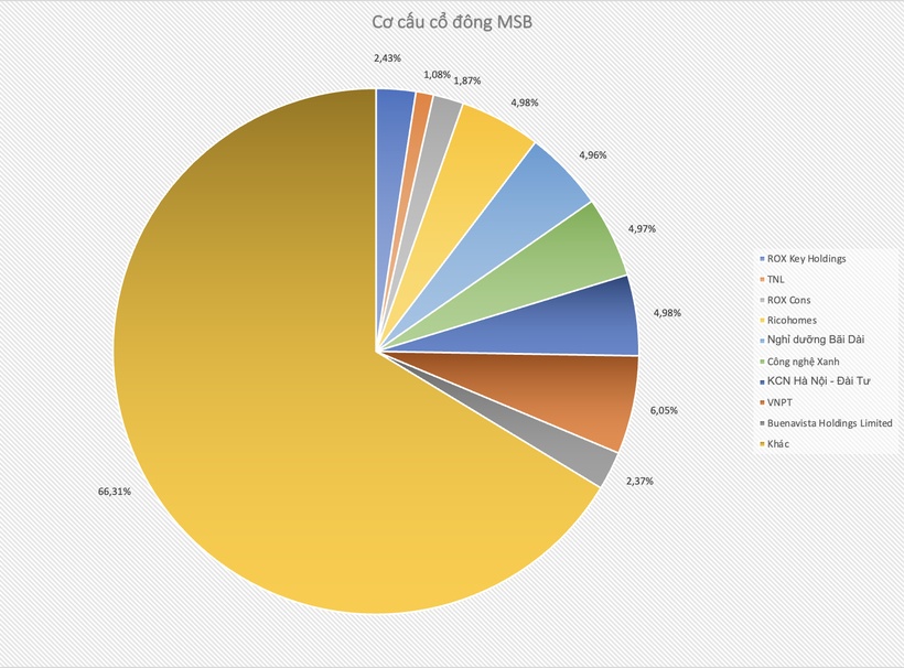 9 cổ đông nắm hơn 33% vốn MSB, hiện diện nhóm thuộc ROX Group
