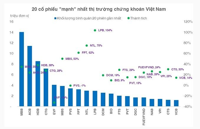 Thị trường chứng khoán có gần 20% mã lập đỉnh thời đại từ đầu năm 2024