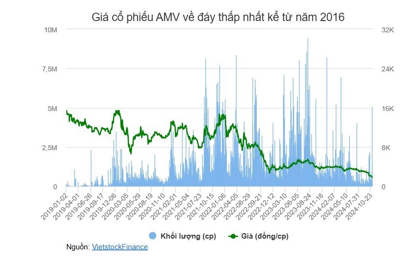 Amvi Biotech tiếp tục giải trình về những bất ổn, giá cổ phiếu xuống đáy 8 năm