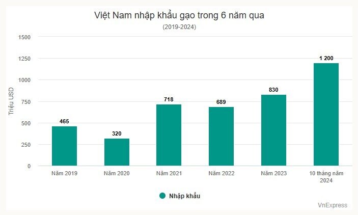 Việt Nam chi gần 1,2 tỷ USD nhập khẩu gạo