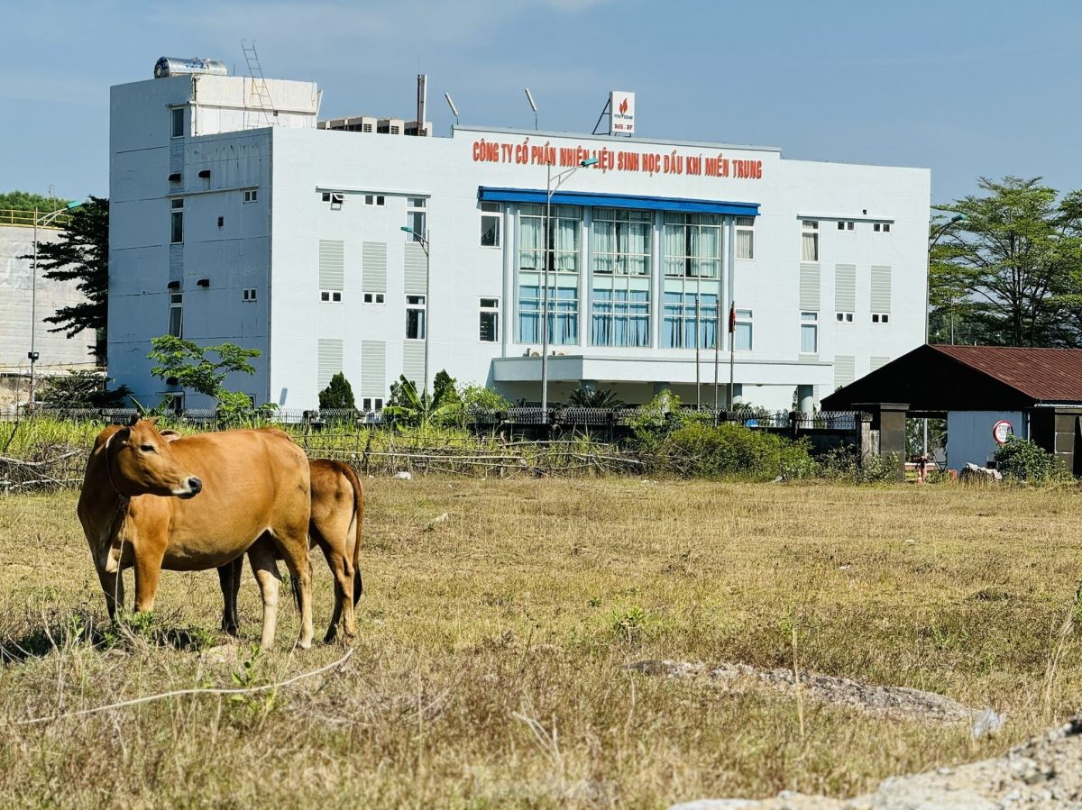 Lụi tàn 'quả đấm thép' nghìn tỷ Ethanol Dung Quất