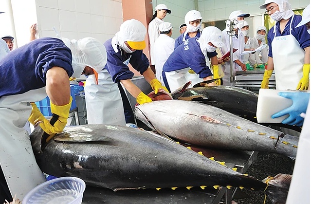 Thủy sản sang Trung Đông, không chỉ có chứng nhận Halal