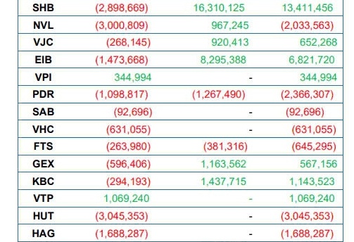 VNM ETF và FTSE ETF sẽ cơ cấu danh mục ra sao trong quý cuối năm 2024?