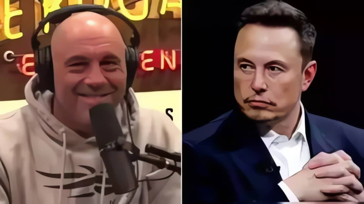 Elon Musk tung tin mua MSNBC, liệu đây có phải là trò đùa?