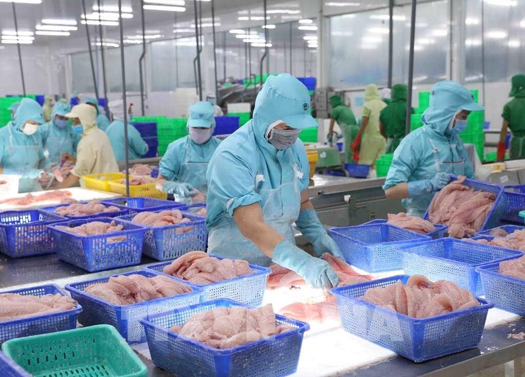 Cơ hội và thách thức cho thuỷ sản Việt Nam tại thị trường Mỹ