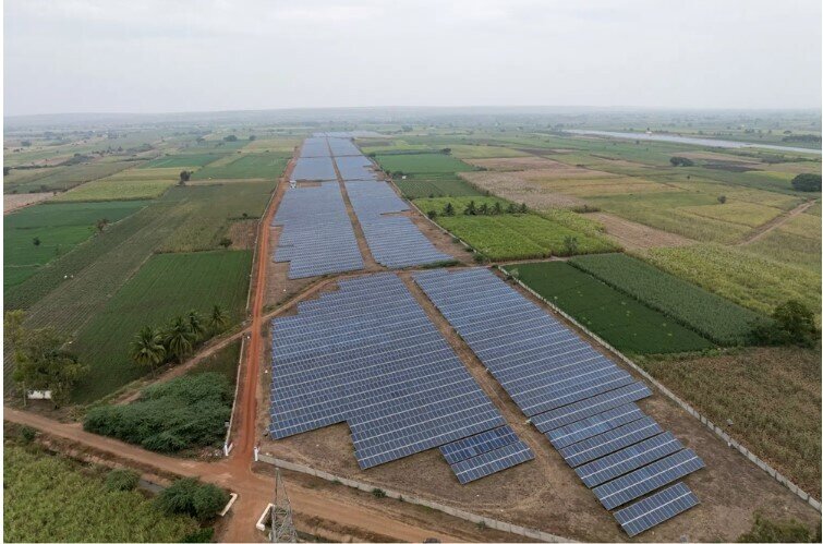 Một mặt hàng của Việt Nam bị Mỹ áp thuế nhập khẩu lên tới 271%