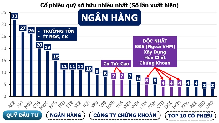 Tại sao cổ phiếu ngân hàng lại là ‘miếng bánh ngon’ của các quỹ đầu tư?