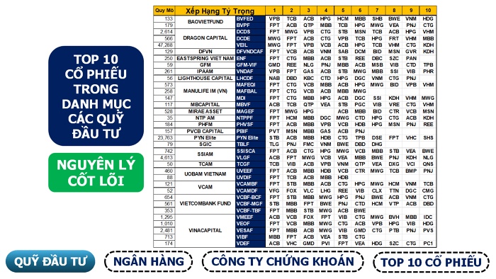 Tại sao cổ phiếu ngân hàng lại là ‘miếng bánh ngon’ của các quỹ đầu tư?