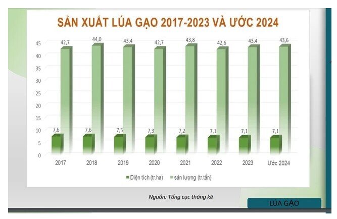 Giải mã kỷ lục xuất khẩu gạo khó tin của Việt Nam