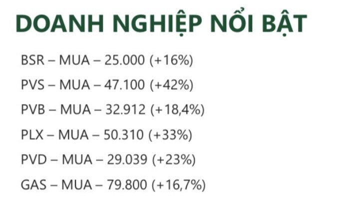 6 cổ phiếu dầu khí tiềm năng trong năm 2025, mức sinh lời kỳ vọng lên tới hơn 40%