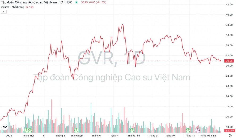 CEO Cao su Việt Nam (GVR): Lãi năm nay tăng 11%, dự báo giá cao su năm sau tăng 16,5%