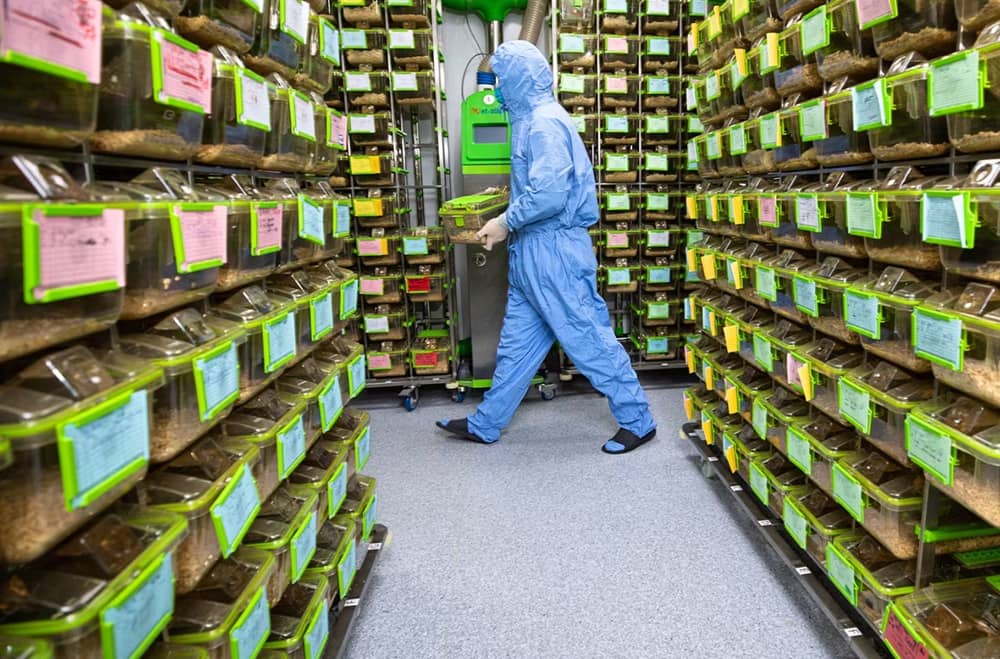 Cảnh báo khẩn cấp về vi khuẩn gương có thể gây đại dịch hủy diệt mọi sự sống trên Trái Đất