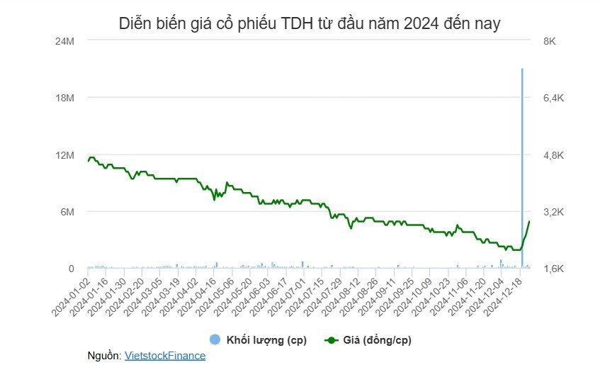 Cổ phiếu tăng trần 5 phiên liên tiếp sau khi Chủ tịch thoái vốn, HOSE yêu cầu TDH giải trình