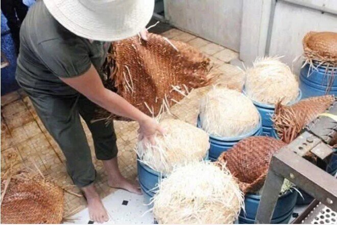 Cơ sở cung cấp giá đỗ ủ hóa chất cho Bách Hóa Xanh mới thành lập gần 1 năm