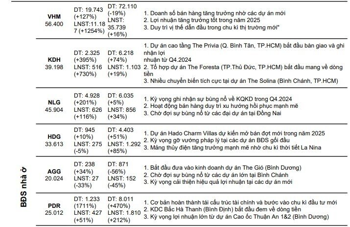 CTCK dự phóng lợi nhuận của VHM, NLG, KDH