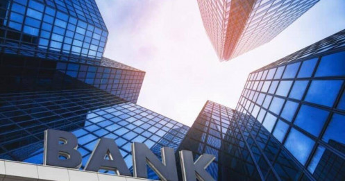 Nhịp đập thị trường vnindex đầu năm 2025: Ngân hàng điều chỉnh hay tạo đỉnh? Cơ hội hay rủi ro?