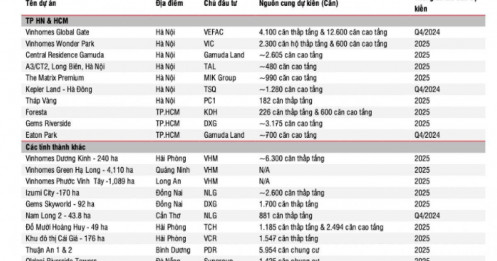 Gần 30.000 sản phẩm từ VHM, DXG, KITA… ra hàng tại Hà Nội và TP. HCM: Ai sẽ thành ‘ngôi sao’ khi thị trường BĐS tới hồi ‘thái lai’?