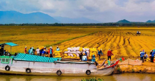 Việt Nam vừa đạt 2 kỷ lục lớn trong ngành xuất khẩu tỷ đô: Đứng top 3 thế giới