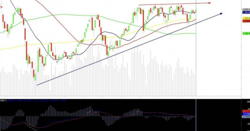 Kịch bản nào cho TTCK tháng 1/2025