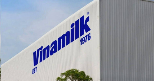 Vinamilk kỳ vọng bứt phá nhờ ba trụ cột kinh tế Đông Bắc Á