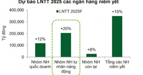 Lợi nhuận nhóm ngân hàng tư nhân sẽ tăng 20% trong năm 2025