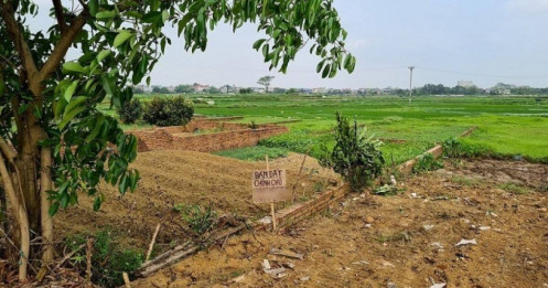 'Tìm đỏ mắt không thấy mảnh đất dưới 500 triệu đồng ở quê'