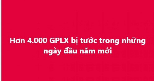 Hơn 4.000 GPLX bị tước trong những ngày đầu năm mới