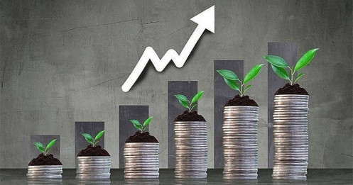 Phuơng pháp đầu tư tập trung có phù hợp cho nhà đầu tư trong năm 2025?