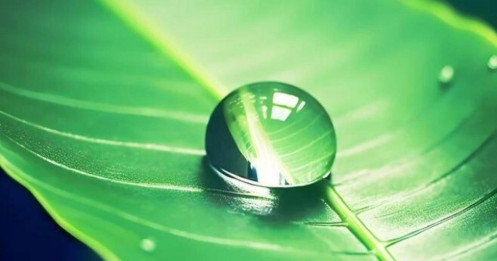 3 tâm thái khiến cuộc đời ngày càng tốt đẹp, mong bạn có 1 điều