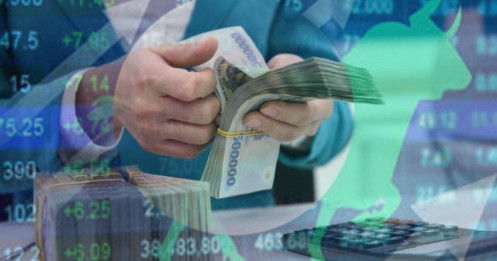 Vốn nội: Sức mạnh dẫn lối thị trường chứng khoán bứt phá