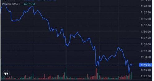 Chứng khoán vào mùa "nghỉ Tết": Giữ tiền, chờ thời cơ đón sóng lớn 2025
