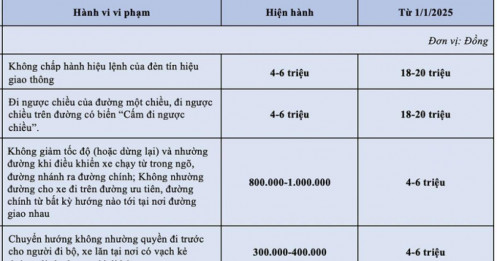Lý do nào vượt đèn đỏ bị phạt 4-20 triệu đồng