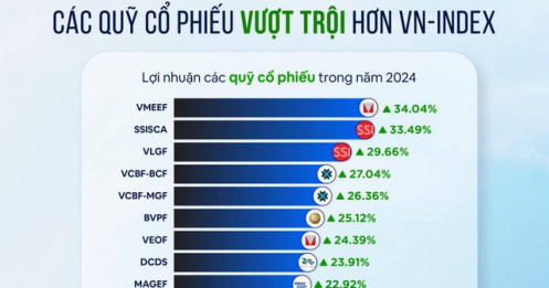 Quỹ mở chiến thắng thị trường năm 2024