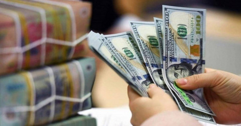 USD tăng vọt 5,03%: Lý giải bất ngờ sau sự biến động tỷ giá