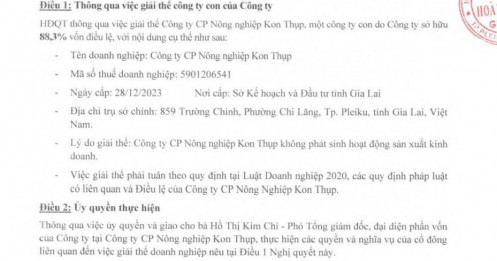 HAGL giải thể công ty con ngay đầu năm 2025
