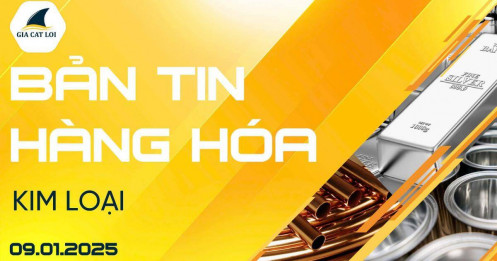 Bản Tin Nhóm Kim Loại Ngày 09/01/2025