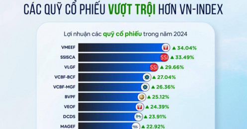 Loạt quỹ mở chiến thắng VNI, 'quán quân' tăng trưởng lên tới 34%