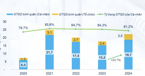 NĐT cá nhân mua ròng gần 78.000 tỷ trong năm 2024 nhưng phần lớn "đu đỉnh"