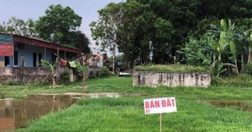 Về ngoại thành ở có dư hơn 20 năm bon chen trung tâm Sài Gòn