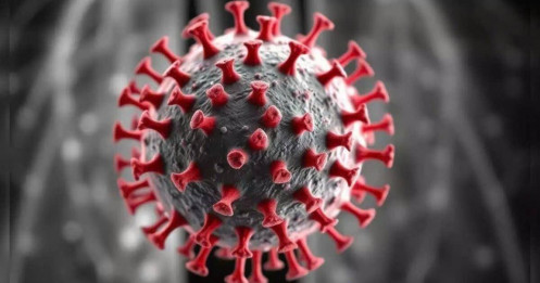 Virus gây bệnh hô hấp như HMPV tiến hóa theo cách nào?