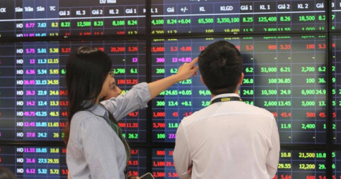 Nhà đầu tư có nên 'bắt dao rơi' giai đoạn này?