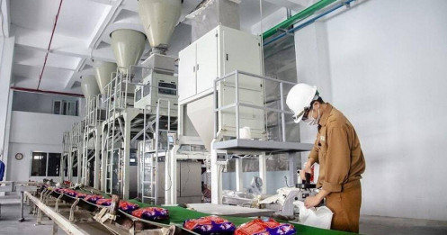 DGC - cổ phiếu vua ngành sản xuất phốt pho vàng