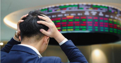 Lý do nhà đầu tư cá nhân không thể chiến thắng thị trường