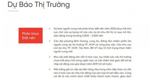 Dự báo bất ngờ về các phân khúc BĐS trong năm 2025?