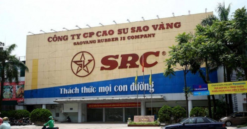 Cao su Sao Vàng đặt mục tiêu doanh thu 2.000 tỷ đồng trong năm 2025