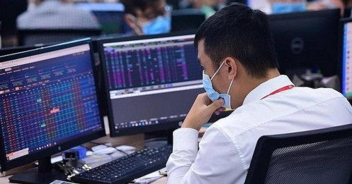 Chứng khoán năm 2025: Tăng trưởng lợi nhuận đồng đều hơn giữa các ngành