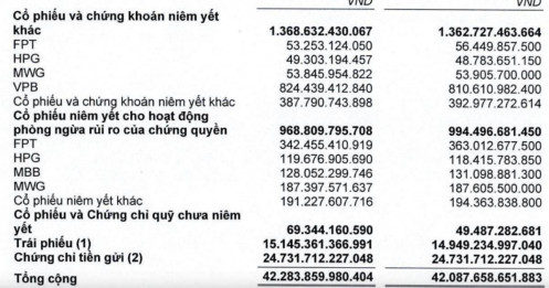 Lãi sau thuế giảm 25%, SSI tạm lỗ khi "cầm" VPB?